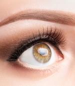 ServicesLashes – Henna & Eyebrows